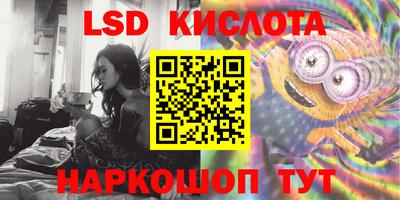 эйфоретик Новокубанск
