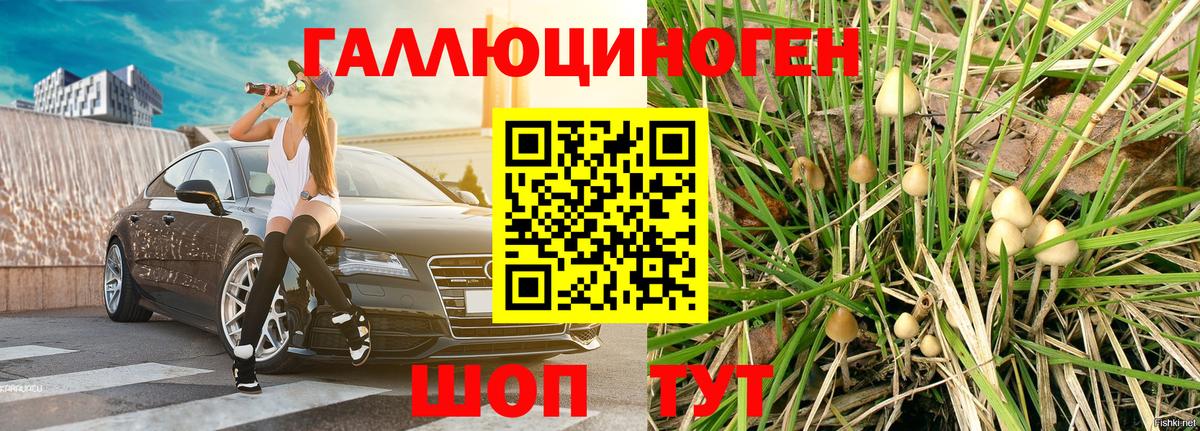 Галлюциногенные грибы Cubensis Таганрог