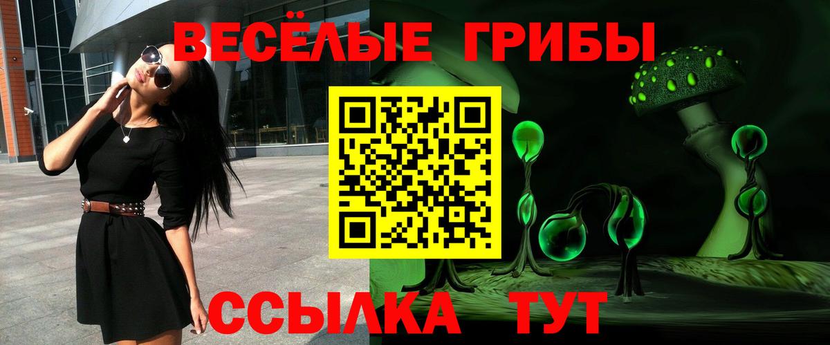 Псилоцибиновые грибы Psilocybe  Галлюциногенные грибы GOLDEN TEACHER  Таганрог  продажа наркотиков  Вход с VPN 